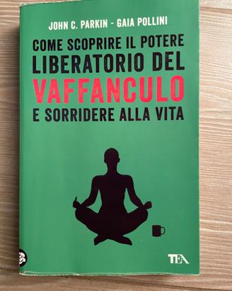 Come scoprire il potere liberatorio del vaffacxxo
