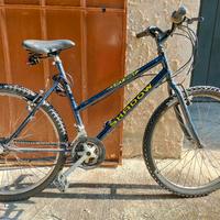 bicicletta mountain bike