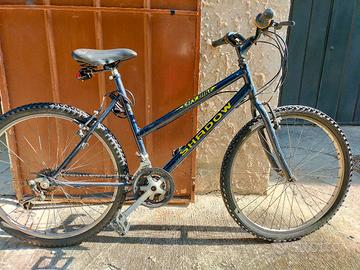 bicicletta mountain bike