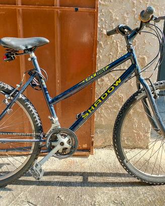 bicicletta mountain bike