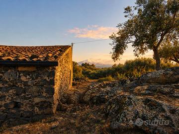 Rif.MP10| azienda agricola biancavilla