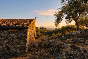 Rif.MP10| azienda agricola biancavilla