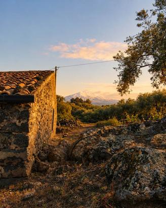 Rif.MP10| azienda agricola biancavilla
