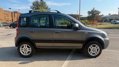 Fiat Panda 1.3 MJT 16V DPF 4x4 Climbing