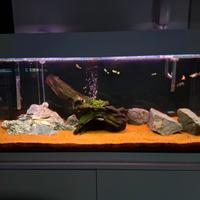 Acquario completo 190lt