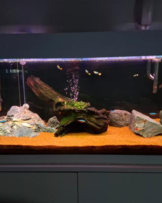 Acquario completo 190lt