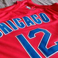 Maglia NBA Kirk Hinrich Chicago Bulls Reebok TG L
