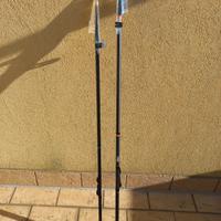 Coppia canne pesca trota