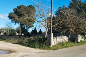 Terreno agricolo di 2800 mq