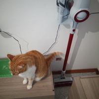 potente scopa elettrica senza fili a batteria 