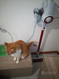 potente scopa elettrica senza fili a batteria 