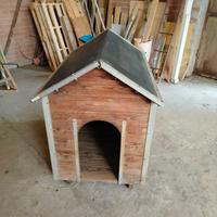 cuccia per cane