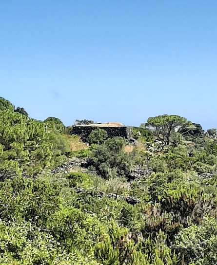 DAMMUSO A PANTELLERIA CON TERRENO DA 8.000MQ. - Altro