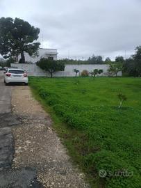 TERRENO PRIMARIO TIPO A