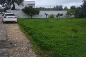 TERRENO PRIMARIO TIPO A