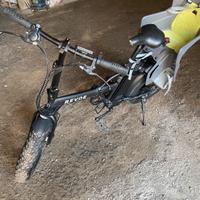 Bici pedalata assistita