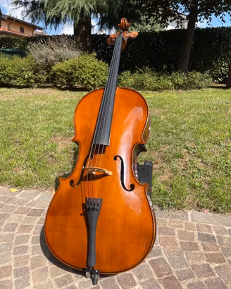 Violoncello Stentor Student I 3/4