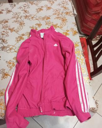 giubbino Adidas 
