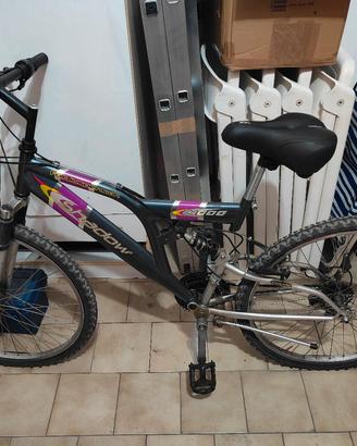 mountain bike
