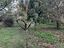 Immagine 14