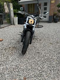 Drag star 1100