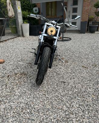 Drag star 1100