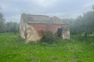 Fabbricato indipendente