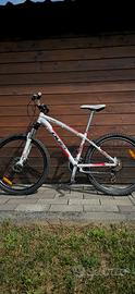 Mountain bike Edoardo Bianchi 26"