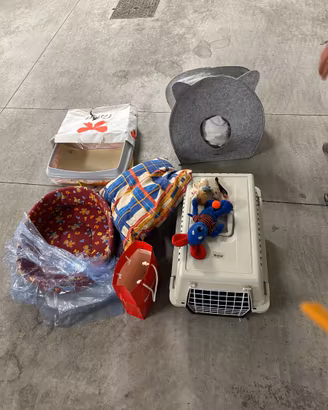 Set accessori per gatti