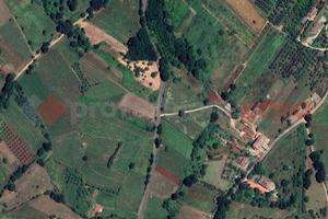 Terreno Agricolo Piglio [Cod. rif 3234519VCG]