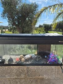 acquario completo