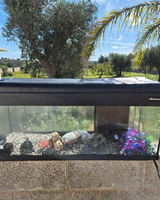 acquario completo