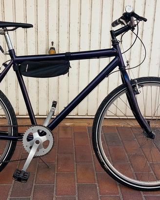 bicicletta