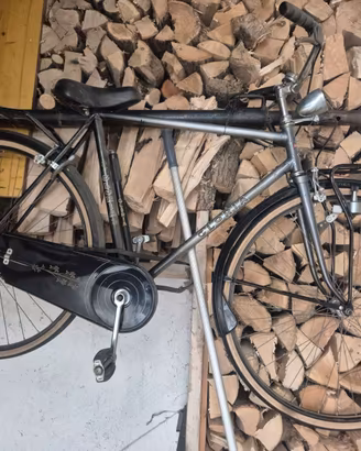 Bici da passeggio