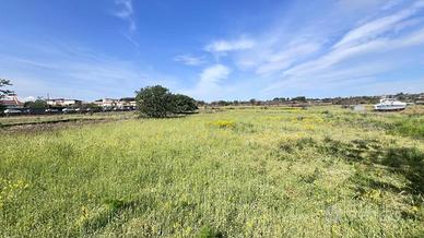 Agricolo a Tremestieri Etneo