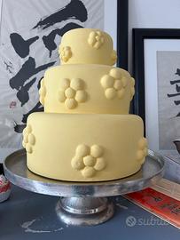 Torte per vetrina pasticceria o home deco