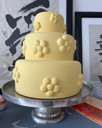 Torte per vetrina pasticceria o home deco