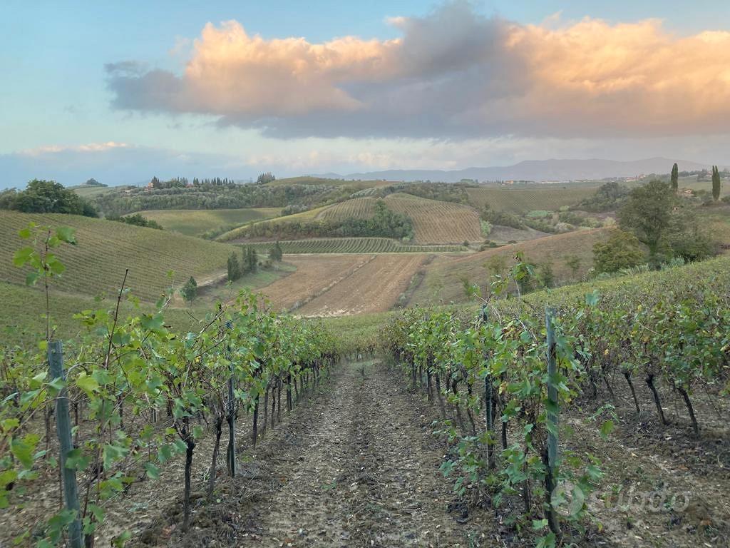 Azienda agricola 20Ha - Vista 2