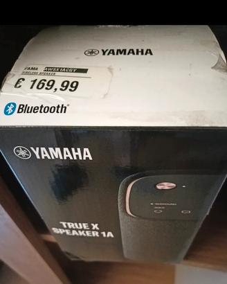 casse Yamaha true-x consegna solo di persona 