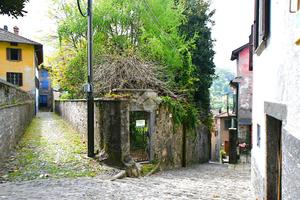 4 LOCALI A FAGGETO LARIO