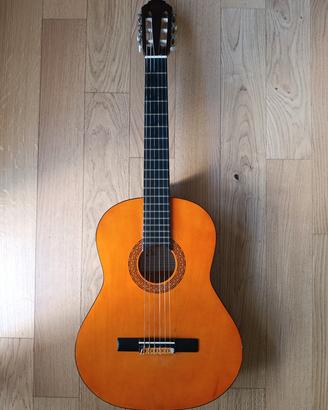 Chitarra acustica