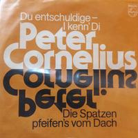 Vinile 45 giri Peter Cornelius Du entschuldige