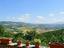 Immagine 11