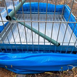 Gabbia per uccellini