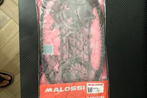 Cinghia malossi braccio lungo
