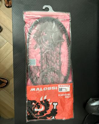 Cinghia malossi braccio lungo