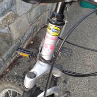 bicicletta  Mtb donna