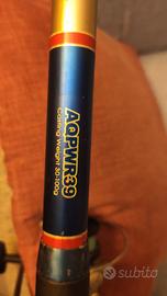 canna da pesca Daiwa 