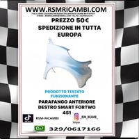 PARAFANGO ANTERIORE DESTRO SMART 451