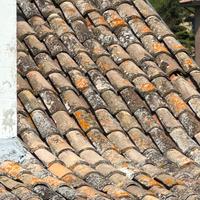 Coppi Antichi Originali in Terracotta